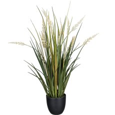 Grass in pot, 58cm, green