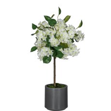 Hydrangea tall stem in a pot, 71cm, white