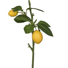 Lemon branch, 34cm, yellow
