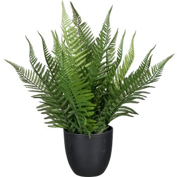 Fern in pot, 39cm, green