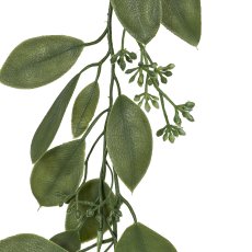 Eucalyptus garland with fruit, 183cm, green