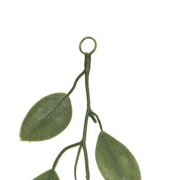 Eucalyptus garland with fruit, 183cm, green