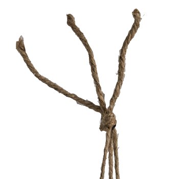 Mühlenbeckiaampel, 31cm, grün