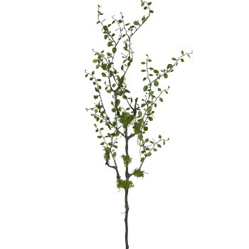 Mühlenbeckia branch, 76cm, green