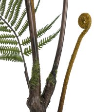 Fern in pot, 99cm, green