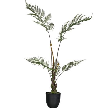 Fern in pot, 99cm, green