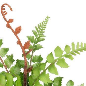 Fern in pot, 32cm, green