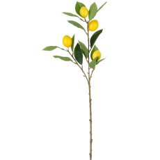 Zitronenzweig, 67cm, gelb