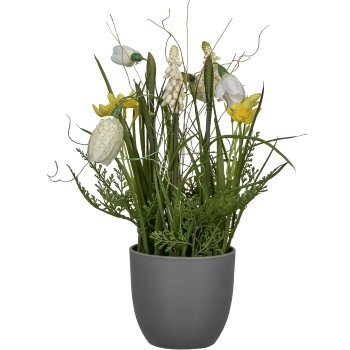 Spring Mix in pot, 28cm, yellow-white