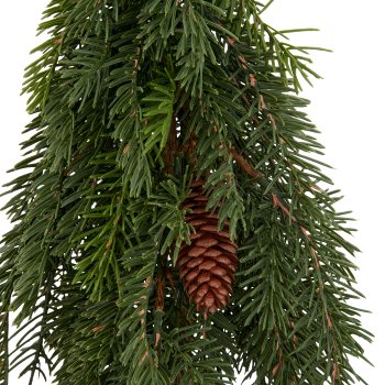 Nordmann fir tree, 60cm, green, Soft Touch, in black plastic pot 11x11x10.5cm
