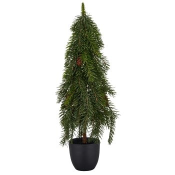 Nordmann fir tree, 60cm, green, Soft Touch, in black plastic pot 11x11x10.5cm