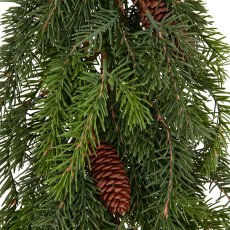 Nordmann fir tree, 94cm, green, Soft Touch, in black plastic pot 14x14x13cm