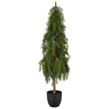 Nordmann fir tree, 94cm, green, Soft Touch, in black plastic pot 14x14x13cm