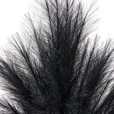 Pampasgras, 91cm, schwarz, im schwarzen Kunststofftopf 18x18x16,5cm