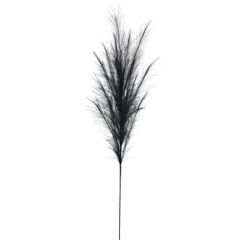 Pampasgras, 120cm, schwarz