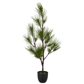 Pine tree, 100cm, green, in black plastic pot 13.5x13.5x13cm