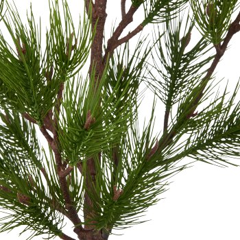 Pine tree, 158cm, green, in black plastic pot 19x19x17.5cm