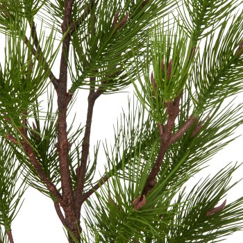 Kiefernbaum, 180cm, grün, in schwarzem Kunststofftopf 23x23x20cm