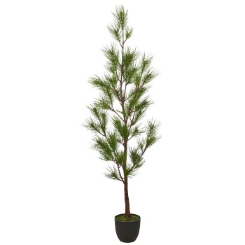Kiefernbaum, 180cm, grün, in schwarzem Kunststofftopf 23x23x20cm