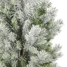 Fir tree, 183cm, green, in black plastic pot 19x19x17cm