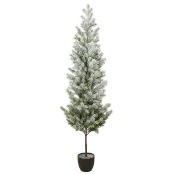 Fir tree, 183cm, green, in black plastic pot 19x19x17cm