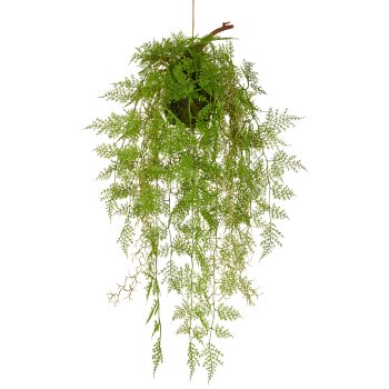 Fern mix pendant on moss ball, 72cm, green