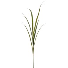 Graszweig, 142cm, grün