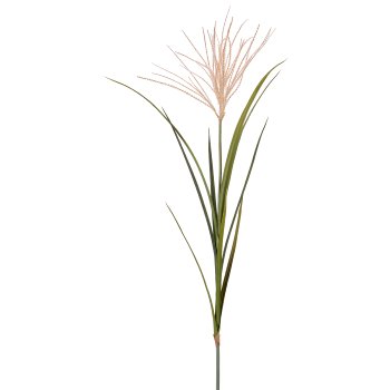 Miscanthus, 122cm, grün