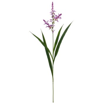 Salviengras, 91cm, lila