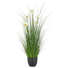 Gras mit Margeriten, 91cm, grün, im schwarzen Kunststofftopf
