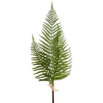 Farnbund x3, 51cm, grün