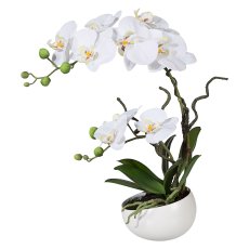 Phalaenopsis In deco ceramic bowl, 42cm, white, Real Touch