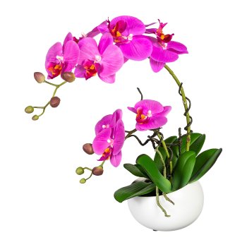 Phalaenopsis In deco ceramic bowl, 42cm, Purple, Real Touch