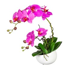 Phalaenopsis In Decoceramic Bowl, 42cm, Purple, Real Touch