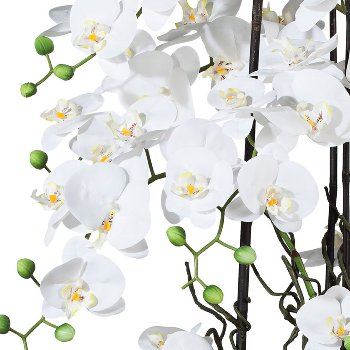 Phalaenopsis Arrangement, 68cm white, In ceramic bowl 45x25cm white, Real Touch