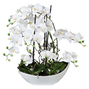 Phalaenopsis Arrangement, 68cm white, In ceramic bowl 45x25cm white, Real Touch