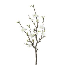 Quince Branch, 75 cm, White