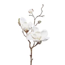 Magnolia Frosted, 50 cm, White