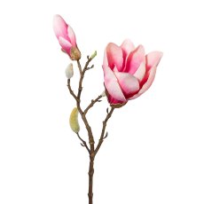 Magnolia, 43 cm, Dark Pink