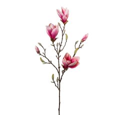 Magnolie, 101 cm, Dark Pink
