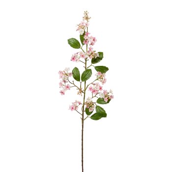 Viburnum, 87cm, rosa