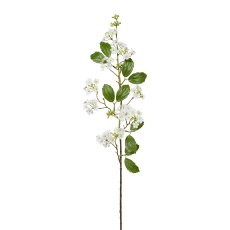 Viburnum, 87cm, weiß