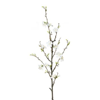 Quince Branch, 86 cm, White