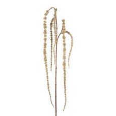 Amaranthus mit Glitter, 150