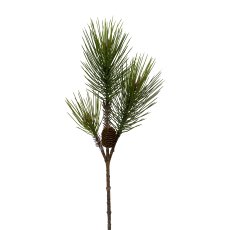 Pine Branch, 64 cm