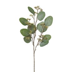 Eukalyptuszweig, 52cm