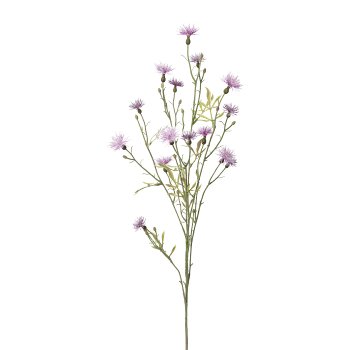 Wild cornflower, 80cm, lilac