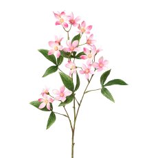 Ceratopetalum Branch, 70cm, Pink