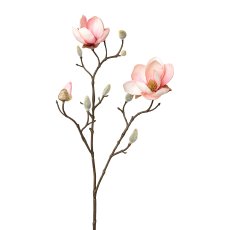 Magnolie, 53 cm, rosa