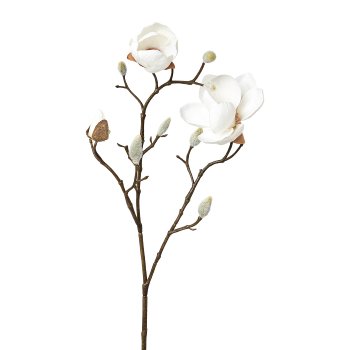 Magnolia, 53cm, white